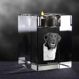 stabyhoun - Crystal Candlestick With Dog, Souvenir, Decoration, Limited Edition, Collection - thumbnail 2