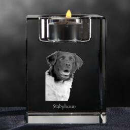 stabyhoun - Crystal Candlestick With Dog, Souvenir, Decoration, Limited Edition, Collection - thumbnail 3