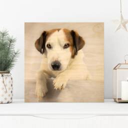 Wood Pet Portrait Print, Dog Lover Gift, Custom Prints, Print On Wood, Photo Frame, Photo, Picture Memorial Frame - thumbnail 2