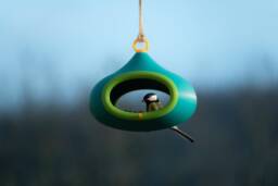 Decorative Bird Feeder - Meadow Green