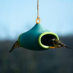 Decorative Bird Feeder - Meadow Green - thumbnail 3