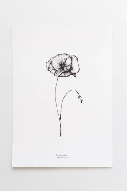 Botanical Line Drawing, Poppy Floral Illustration, Black & White Print, Wall Hanging - image 1