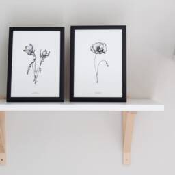 Botanical Line Drawing, Poppy Floral Illustration, Black & White Print, Wall Hanging - thumbnail 3