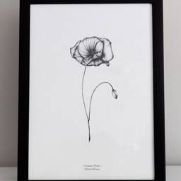 Botanical Line Drawing, Poppy Floral Illustration, Black & White Print, Wall Hanging - thumbnail 2