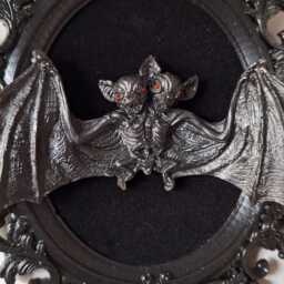 Unique Gothic Halloween Mummified Two-Headed Vampire Bat Faux Taxidermy Oval Wall Frame Home D??cor - thumbnail 2