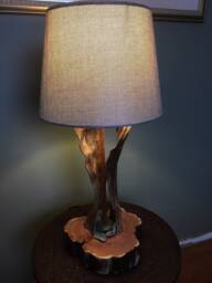 Natural Bark Lamp - thumbnail 1