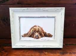 Newfoundland Print 17x12cm - White Rustic Frame - Giant Breed Wall Art, Gift For Newfie Owners