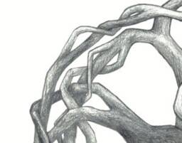 Interconnected  Celtic Knot Unitarian Universalist Uu Tree Of Life Interdependent Web Existence Print Or Original Pencil Drawing - thumbnail 2