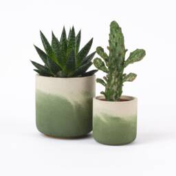 Moss Fade Pot - thumbnail 2