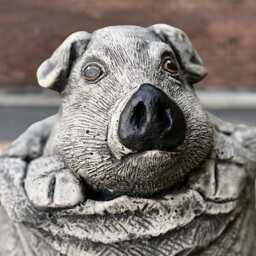Pig in Sack Statue Funny Pig Sculpture Stone Bag Decor Garden Ornament Farm Animal Figurine Lover Gift Yard Art Handmade - thumbnail 3