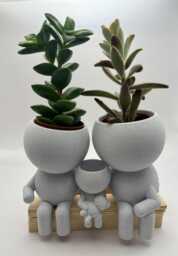 "Family Of 3 Gift Succulent Planter Airplant Holder ""Wee Jimmys & Their Bairn" - thumbnail 1