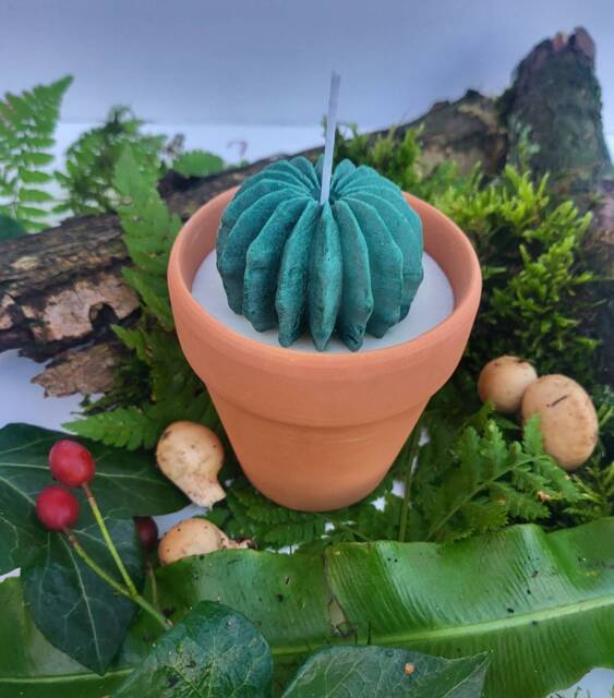 Succulent Flower Candle Terracotta Plant Pot Candle 8Oz Soy Vegan Cruelty Free Christmas Gift Catus - image 1