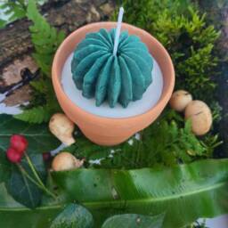 Succulent Flower Candle Terracotta Plant Pot Candle 8Oz Soy Vegan Cruelty Free Christmas Gift Catus - thumbnail 3