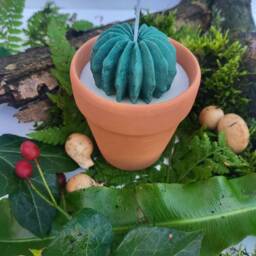 Succulent Flower Candle Terracotta Plant Pot Candle 8Oz Soy Vegan Cruelty Free Christmas Gift Catus - thumbnail 2