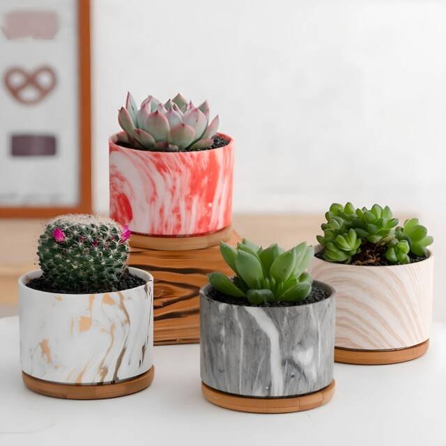 Round Ceramic Marble Effect Succulent Planters With Bamboo Coaster/Small Desktop Plant Pot Indoor Office Home Decor Gift Idea - image 1