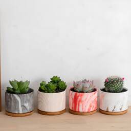 Round Ceramic Marble Effect Succulent Planters With Bamboo Coaster/Small Desktop Plant Pot Indoor Office Home Decor Gift Idea - thumbnail 3