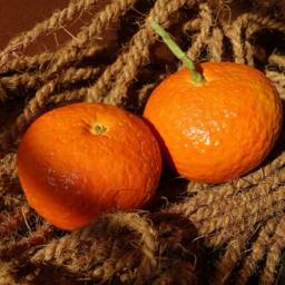 Ceramic Clementine Handmade Realistic - 1 Pc Natural Size, Kitchen Decor - thumbnail 2