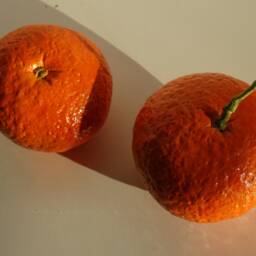 Ceramic Clementine Handmade Realistic - 1 Pc Natural Size, Kitchen Decor - thumbnail 4