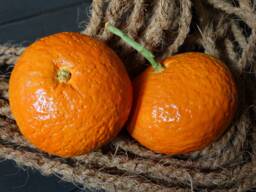 Ceramic Clementine Handmade Realistic - 1 Pc Natural Size, Kitchen Decor