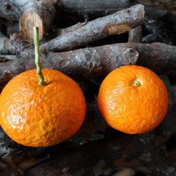 Ceramic Clementine Handmade Realistic - 1 Pc Natural Size, Kitchen Decor - thumbnail 3