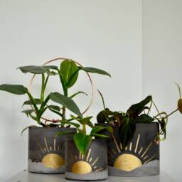Minimalist Charcoal Gold Sun Planter Concrete Home Decor, Drainage Options - thumbnail 2