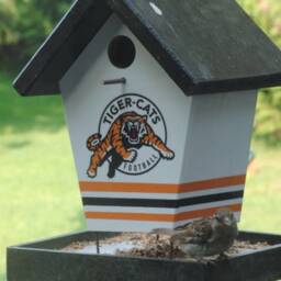 Hamilton Tiger Cats Bird Feeder - thumbnail 2