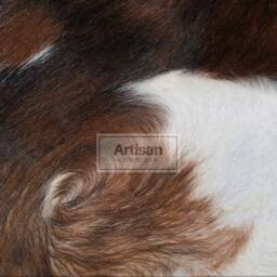 Dark Brindle White Belly Cowhide Rug - Size - 7'x6' Ft, 6'x5' Ft/ Premium Quality Cow Skin - thumbnail 2