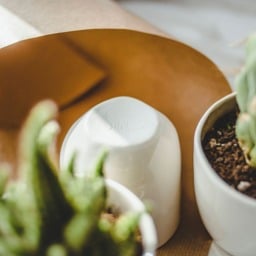Ceramic Face Planter Set Funny Succulent Pots, Shelf Decor - thumbnail 4