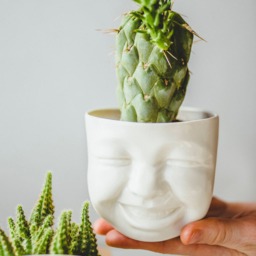 Ceramic Face Planter Set Funny Succulent Pots, Shelf Decor - thumbnail 2