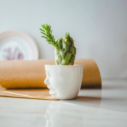 Ceramic Face Planter Set Funny Succulent Pots, Shelf Decor - thumbnail 3