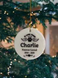Personalised Memorial Pet Bauble, Christmas Tree Ornament, Memory Keepsake For Decoration, Bauble Dogs Cats