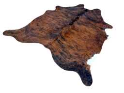 Medium - Large Sized Brindle & White Genuine Cowhide Rug, Hair On Hide, Sold As Seen - thumbnail 1