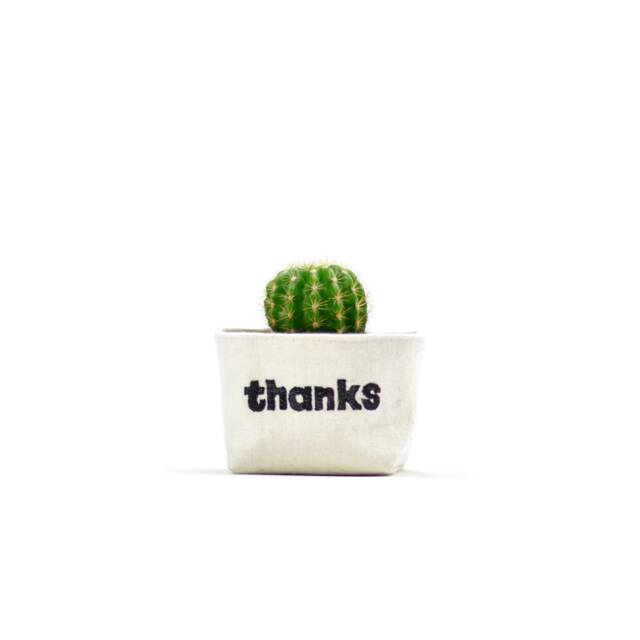 "Small Planter, ""Thanks"" Blockprint Canvas Bucket For Plants & Storage, 3" - image 1