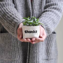 "Small Planter, ""Thanks"" Blockprint Canvas Bucket For Plants & Storage, 3" - thumbnail 2