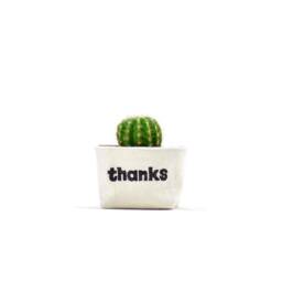 "Small Planter, ""Thanks"" Blockprint Canvas Bucket For Plants & Storage, 3" - thumbnail 1