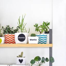 "Small Planter, ""Thanks"" Blockprint Canvas Bucket For Plants & Storage, 3" - thumbnail 3