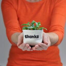 "Small Planter, ""Thanks"" Blockprint Canvas Bucket For Plants & Storage, 3" - thumbnail 4