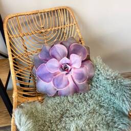 Succulent Perle Von N??rnberg Pillow, Echeveria Cushion - thumbnail 1