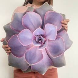 Succulent Perle Von N??rnberg Pillow, Echeveria Cushion - thumbnail 2