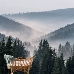 Forest Mountain Wall Mural, View Mural, Misty Wallpaper, D??cor, Nursery & Room Art - thumbnail 3