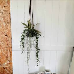 Green Ceramic Mixed Faux Foliage Hanging Planter - thumbnail 4