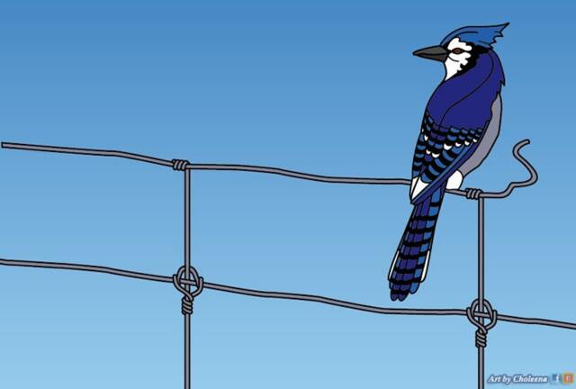 Blue Jay With Wire Fence - Medium-Size. -still Updating The Listing - image 1