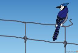 Blue Jay With Wire Fence - Medium-Size. -still Updating The Listing - thumbnail 1