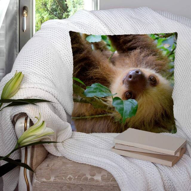 Sloth Tree - Photography Super Soft Decorative Pillow Throw Cushion, Case Cover Or With Filling Luxury Velvet