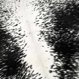 Black & White Cowhide Rug - Natural Hair-On Leather, Modern Decor - 55x55 Inches - thumbnail 3