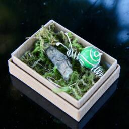Small Snail in A Box Gift - thumbnail 3