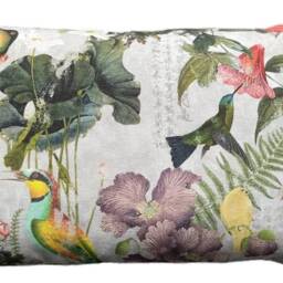 "Paradise Bird Cushion Cover Hummingbird Botanical Asian Vintage Grey 16"" - 24" - thumbnail 3