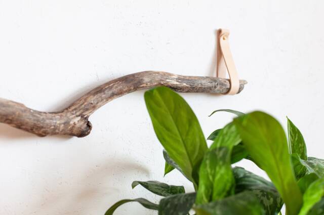 Branch Hanger, Canoe Paddle Decorative Branch Hanging Decor, Hooks For Tree Branch, Wall Hanging, Oar Hanger - image 1