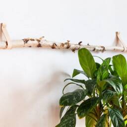 Branch Hanger, Canoe Paddle Decorative Branch Hanging Decor, Hooks For Tree Branch, Wall Hanging, Oar Hanger - thumbnail 3