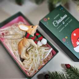 Hand-Carved Wooden Fennec Fox Ornament - Basswood Animal Lover Holiday Decor - thumbnail 4